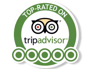 What is Trip Advisor?