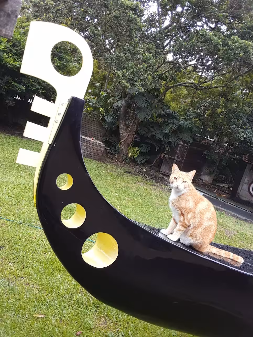 Durban Attractionsby Captain Cat