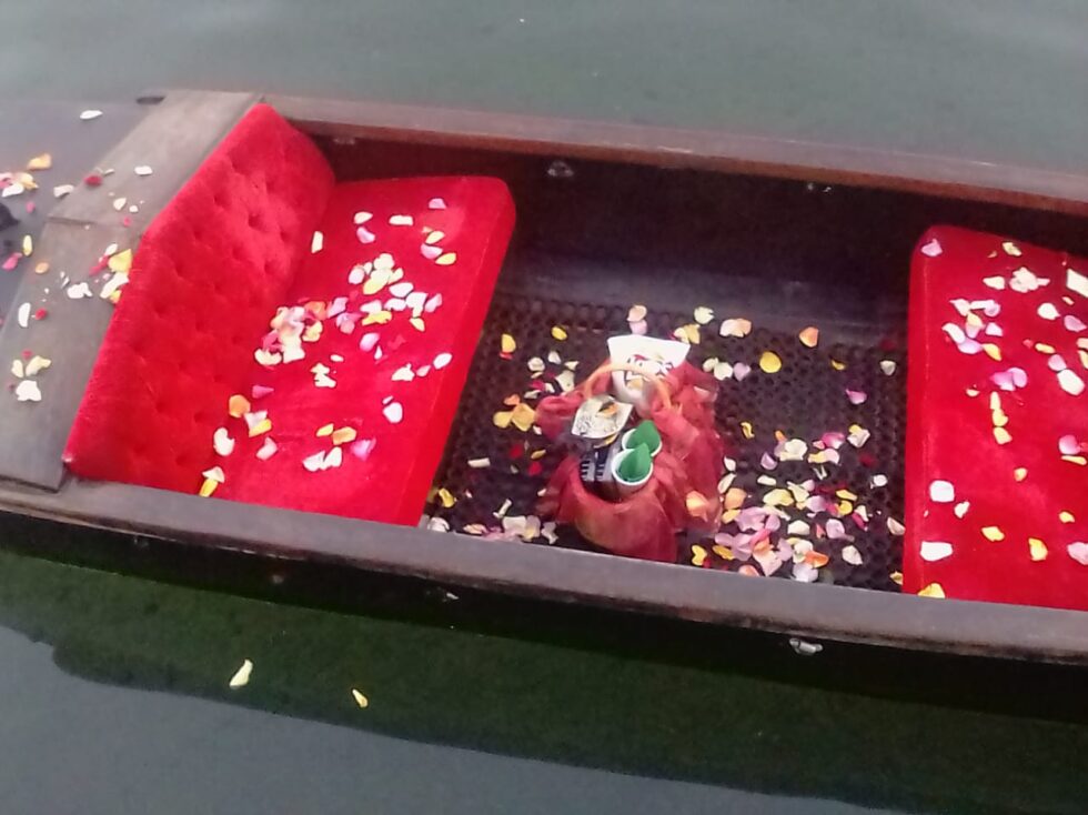 Magical Picnic Durban 1 Zulumoon Gondolas