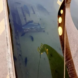 ushaka-marine-world-fish-breeding-in-canal-clear-water-zulumoon-gongolas Fish swimming in the clear canal water beneath a Zulumoon gondola, a unique feature of the best value family boat rides in Durban.