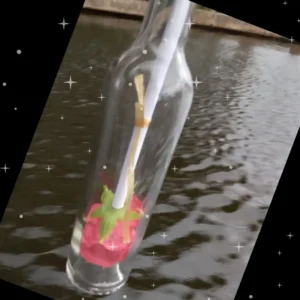 message-in-a-bottle-luxury-boat-cruise-ushaka-canals A close-up of a message in a bottle containing a romantic proposal wrapped around the stalk of a rose, serving as a creative marriage proposal idea for Durban couples.